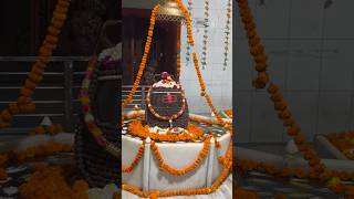 Shiv Tandav Stotram Sachet Parampara  Har Har Shiv Shankar Neelkanth Gangadhar Aaye Sharnam Tihare [upl. by Peppel]