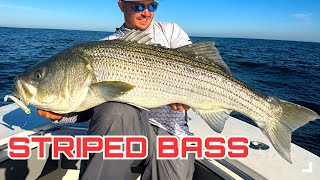 Striped Bass Secrets Catching Giants with the SWYM Pro Tips Inside [upl. by Eduam]