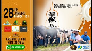 ✅1º LEILÃO VIRTUAL SÍTIO VENTO VIOLA  28012023 ⏰ 1800h [upl. by Brade]