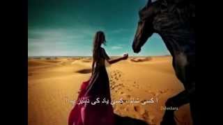 Aa Kisi Sham  Heart Touching Urdu Poetry  Voice Zia Anjum [upl. by Jahn128]