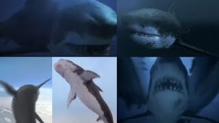 Mega Shark Versus Mecha Shark 2014  Mega Shark  Megalodon Screen Time [upl. by Anoel559]