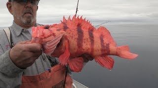 Coos Bay OR Rockfish amp Lingcod Fishing [upl. by Varrian948]