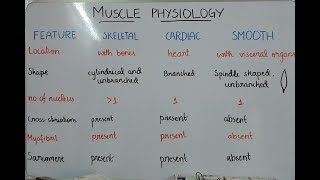 Muscle physiology  classification of muscle difference between cardiac skeletal and smooth muscle [upl. by Nabois]