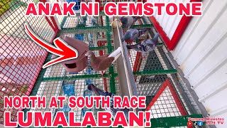 EP676  FROM VIGAN ILOCOS ANAK NO GEMSTONE NAG UWI PA NG APAT NA KASAMA [upl. by Atiram902]