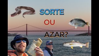 À PROCURA DAS CORVINAS NO RIO TEJO  PESCA EMBARCADA [upl. by Diraf150]