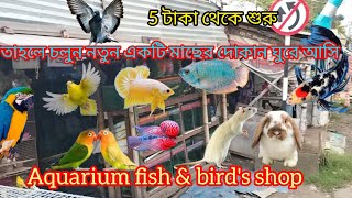 aquarium fish shop in Kolkata 😱🐟 একুরিয়াম মাছের দোকান all aquarium fish and Birds 🦜 all pet lover🐇 [upl. by Eatnwahs]