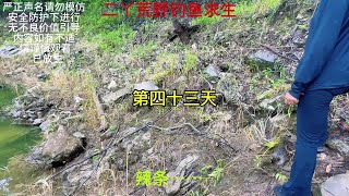 【二丫荒野釣魚求生】第四十三天，辣條 [upl. by Hulbard]