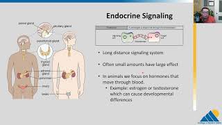 BIOL201 Ch91  Signaling Molecules and Cellular Receptors [upl. by Trevah]