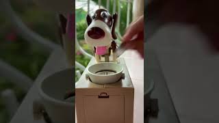 Super cute dog coin bank asmr😍 [upl. by Hetty]