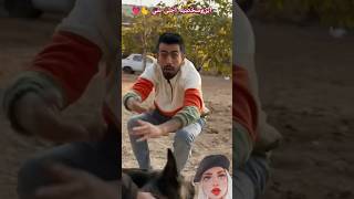 كنز ابي المفقود 🤪☠️فانز أم سيف فانز 🫰💗 funny كوميد ضحك [upl. by Myrtia599]