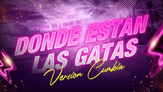 Donde Estan Las Gatas  Versión Cumbia  Remix  aLee DJ [upl. by Zacharias]