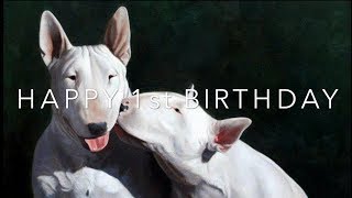 BULL TERRIERS FIRST BIRTHDAY MAX amp LADY 742017 [upl. by Akehsar]