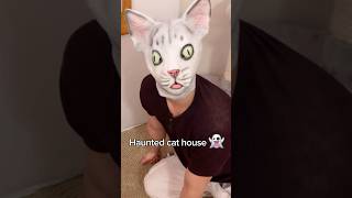 Halloween Cat Mask Prank On Cats halloweenshorts catpranks funnycatvideos [upl. by Latterll770]