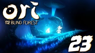 Ori and the Blind Forest  Le Terrier de Noiracine  Episode 23 [upl. by Akialam978]