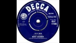 Mort Shuman  Im A Man [upl. by Eilesor]