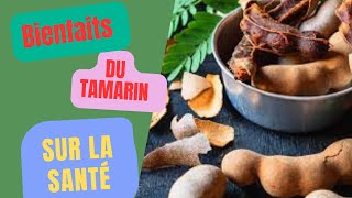 Les Incroyables Bienfaits du Tamarin sur la Santé  Découvrez les Secrets de ce Super Aliment [upl. by Wilen]