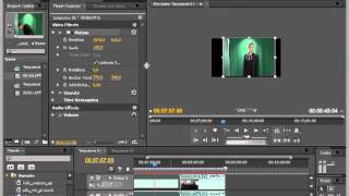 Изменение размеров и соотношений сторон в Adobe Premiere Pro [upl. by Akimet135]