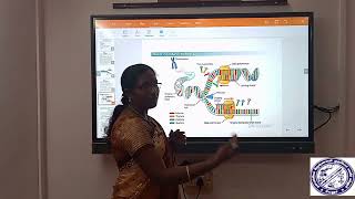 ENZYMOLOGY OF DNA REPLICATION BY Dr S VINOTHINI BIO TECH [upl. by Aikehs609]