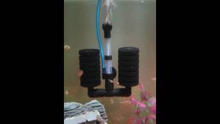 Aquarium sponge bio filter [upl. by Alekin224]