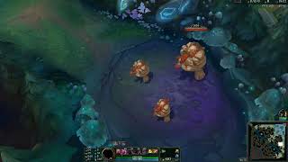 gragas dance in jungle camps [upl. by Lolita]