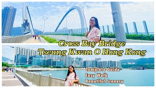 HK WALK TSEUNG KWAN O CROSS BAY BRIDGE  HONG KONG  JOY WANDERS [upl. by Ahsimik]