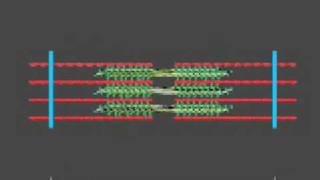 How a muscle contraction is signalled  Animation [upl. by Iniretake938]