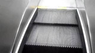 Braintree DANGEROUS Westinghouse Escalators  Sears South Shore Plaza [upl. by Luapnaej]