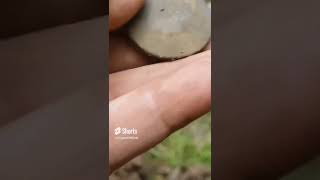 Surprising Find Metal Detecting Sites [upl. by Nylyak845]