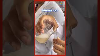 Biology Laboratory  Glimpses  Practical Time [upl. by Krm]