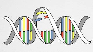 How UV Causes Cancer and Aging [upl. by Eivlys]