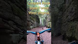 MTB Trails of Coopers Rock State Forest WV mtb mountainbiketrails mtbtrails westvirginia [upl. by Moon311]