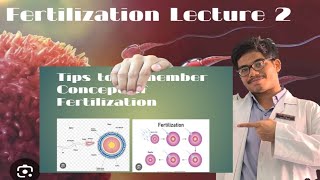 Fertilization  Steps of Fertilization  Results of Fertilization [upl. by Anawt]