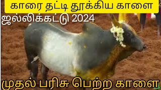 First Price winner of alanganallur jallikattu 2024 [upl. by Anert]