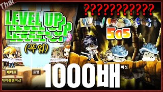 경험치 메소 드랍률 싹 다 1000배 용기사 체험해봤습니다ㅋㅋㅋㅋ [upl. by Neelrak]