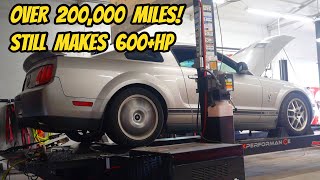 I cant believe this 210000 mile Shelby GT500 can still pull this HARD bought the cheapest in USA [upl. by Nairim977]