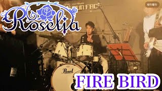 Roselia FIREBIRDを新宿でドコドコさせて頂きました（桿子Drumstickさんドコドコアレンジ版） [upl. by Mikiso155]