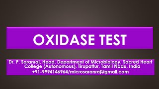 Oxidase test [upl. by Yanrahc884]