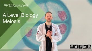 Meiosis and chromosome mutation  A Level Biology [upl. by Akcimehs608]