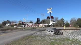 Amtrak 20 Laurel Street Ellisville MS 2212021 [upl. by Nodnil]