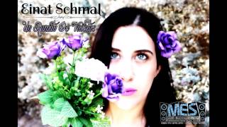 Un ramito de violetas Einat Schmal cover [upl. by Edmanda]