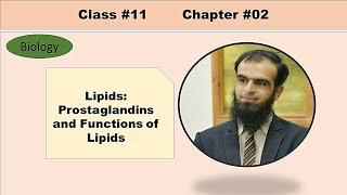 Prostaglandin and Functions of lipids [upl. by Busch]