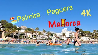 🏖️Palmira Paguera Mallorca 2023 June 📷4K60 [upl. by Strickland]