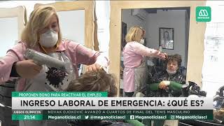 Ingreso Laboral de Emergencia Proponen bono para activar el empleo [upl. by Sudbury]