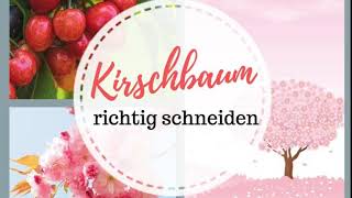 Kirschbaum schneiden Einfacher als gedacht [upl. by Erodoeht]