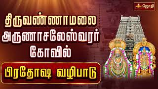 திருவண்ணாமலை ஸ்ரீஅருணாச்சலேஸ்வரர் கோவில்  பிரதோஷ வழிபாடு  Pradosham  Nandhi Abishegam [upl. by Shandeigh262]