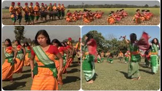 All Traditional dances of The Bodos BagurumBa Jaraphagla Bardwi Sikhla Daosri Delai Sotrali [upl. by Bertram]