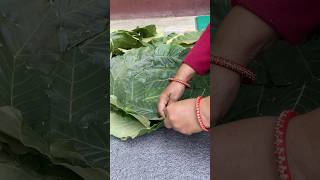 Making Tapari for Tihar festival bhaitika tradition nepal [upl. by Imnubulo605]