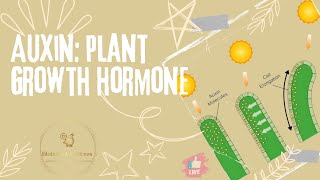 Auxin Structure Types Transport and Physiological Functions [upl. by Aicilra525]