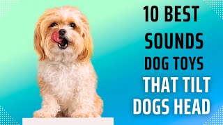 Watch 10 Best Dog Toys  Squeaky sound toys that attract dogs [upl. by Casey]