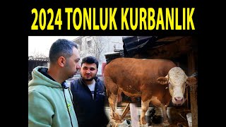 TARIM TUBE YUNUSUN 1 TON OLACAK KURBANLIK DANA SÖZÜ VERİLDİ  2024 KURBAN FİYATLARI NE OLUR [upl. by Amej364]